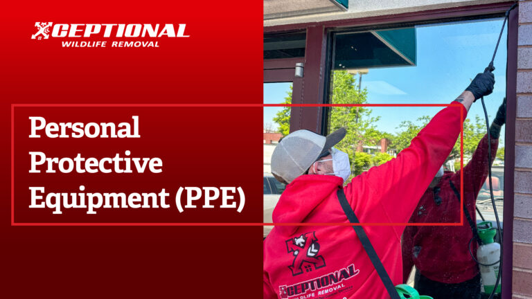 Personal Protective Equipment (PPE)