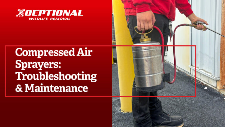 Compressed Air Sprayers: Troubleshooting & Maintenance